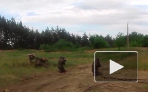 Новости часа: 28 октября, 13.00