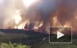Видео из Испании: В Каталонии бушует крупнейший за 20 лет лесной пожар