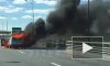 Видео: на ЗСД у Горского шоссе полыхает легковой автомобиль