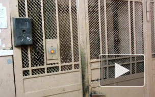 В Санкт-Петербурге появился фотомузей лифтов