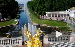 В Петергофе школьнику размозжило голову шлагбаумом