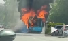 Видео: на Витебском проспекте сгорел пассажирский автобус