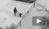 Петербуржцы: коммунальщики перекидывают снег в чужие дворы