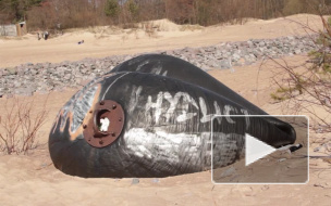 Старейший нудистский пляж Петербурга закрыт, голых людей будут штрафовать