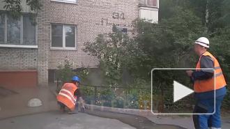 Видео: жители дома на Пражской не могут выйти из подъезда из-за разлива горячей воды