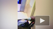 Появилось видео кражи обольстительной узбечкой сейфа с тремя миллионами 