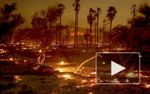 "Калифорния в огне": Число жертв пожара возросло до 66 человек