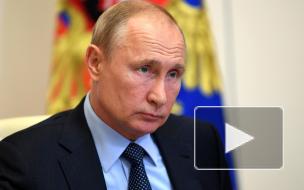 Путин оценил уровень организации голосования по поправкам к Конституции