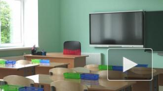 На "дистанционку" в декабре могут уйти почти 700 школ Петербурга