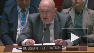 Небензя считает, что Украина превратилась в частную военную компанию НАТО