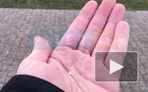 В Невском районе Петербурга заметили град