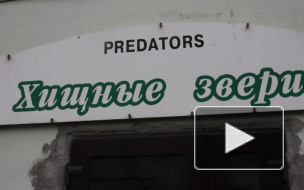 В Ленинградском зоопарке загорелся вольер с хищниками, несчастных животных пришлось срочно эвакуировать