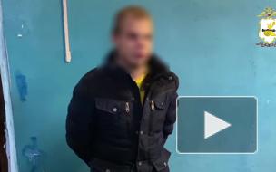 В Смоленской области сотрудники уголовного розыска раскрыли разбой в отношении пожилой женщины