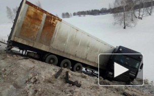 Аварию фуры, перевозившей тигров в Оренбургской области, зафиксировали на видео