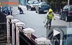 Появилось видео, как уличный пес спас женщину от грабителя