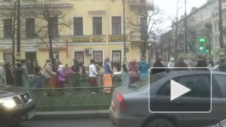 Кришна в Питере 