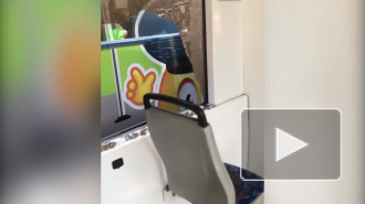 На пересечении проспектов Просвещения и Культуры столкнулись два трамвая