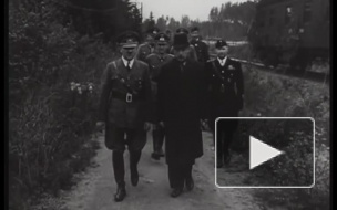 Человеку с болгаркой не дали срезать доску Маннергейма