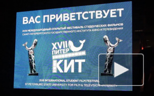 17-й сезон международного кинофестиваля «ПитерКит»