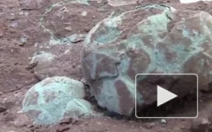 В Китае школьник нашел яйца динозавра возрастом 66 миллионов лет