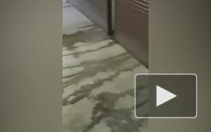 Вода из канализации пятый день заливает цокольный этаж дома на Ленинском