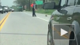 В США полицейский помог сурку перейти дорогу, а затем ...