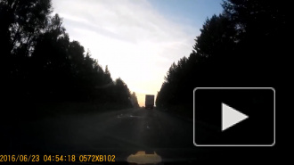 Пьяный залёт.