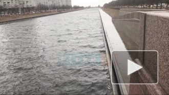 В Петербурге за ночь повысился уровень воды