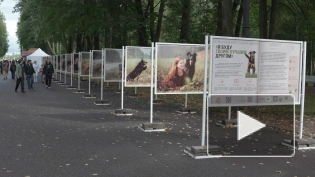 В Приморском парке Победы открылась благотворительная фотовыставка "Я буду твоим лучшим другом"