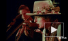 В сети появился трейлер фильма Мартина Скорсезе о Бобе Дилане