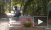 Занимательное видео из США: американец испытал гигантскую мышеловку-убийцу