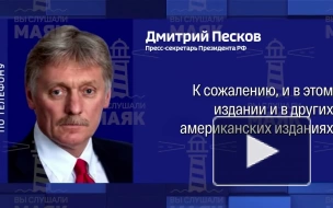 Песков опроверг информацию о контактах Путина и Маска