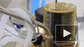 Волчек впала в кому и не может самостоятельно дышать