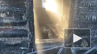 В Новосибирской области женщина и двое детей погибли при пожаре в доме
