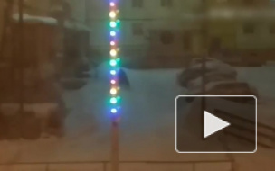 В Норильске волк напал на 4х человек и попал на видео