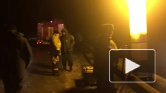 Число погибших в аварии с автобусом под Рязанью увеличилось до четырех