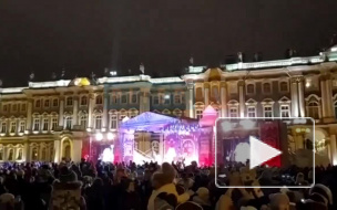 Видео: Забег Дедов Морозов прошел в центре Петербурга