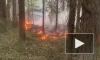 Жителей поселка в Карелии эвакуировали из-за лесного пожара