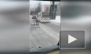 На проспекте Большевиков утром женщина попала под автобус