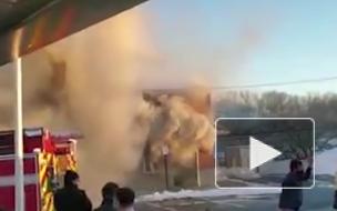 В автокатастрофе скончался сын миллиардера Рэя Далио