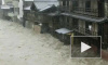 Япония: Число жертв тайфуна "Хагибис" достигло 67