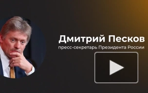 Песков заявил о готовности РФ вернуться к зерновой сделке при ее выполнении в полной мере