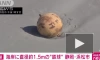 На берегу в японской Сидзуоке обнаружили неизвестный шар