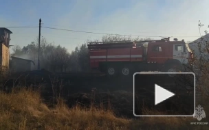 В Воронежской области локализовали ландшафтный пожар