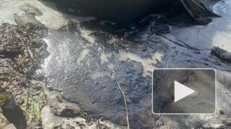 В Парголово обнаружили утечку нефтепродуктов