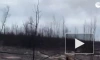 Площадь пожаров в Рязанской области выросла почти в четыре раза за сутки