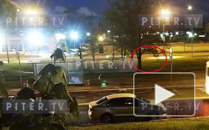 На Витебском проспекте Honda Civic насмерть сбила пешехода