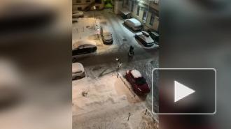 В Петербурге задержали более ста человек