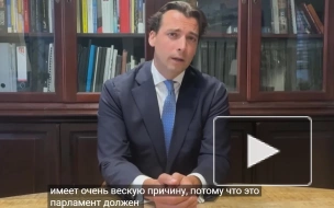 В Нидерландах раскритиковали решение позволить Зеленскому выступить в парламенте