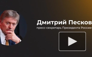 Песков назвал позицию европейских стран по зерновой сделке бессовестной